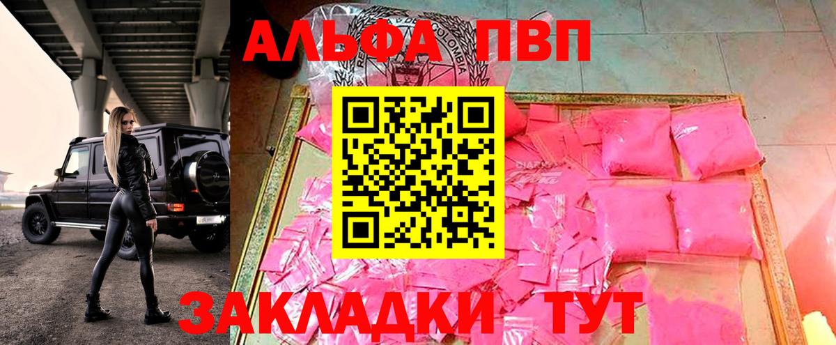 Alfa_PVP СК Кандалакша