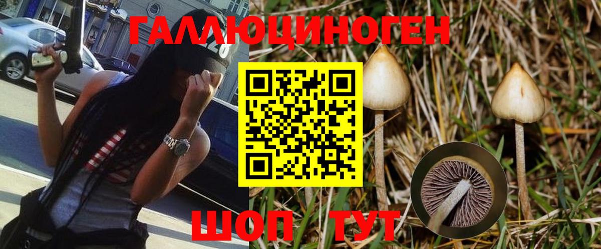 Псилоцибиновые грибы ЛСД Кандалакша