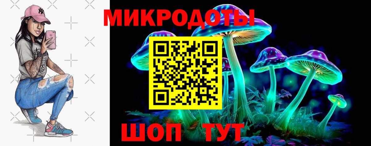 Кандалакша  Псилоцибиновые грибы ЛСД  Вход с VPN  Псилоцибиновые грибы мицелий 